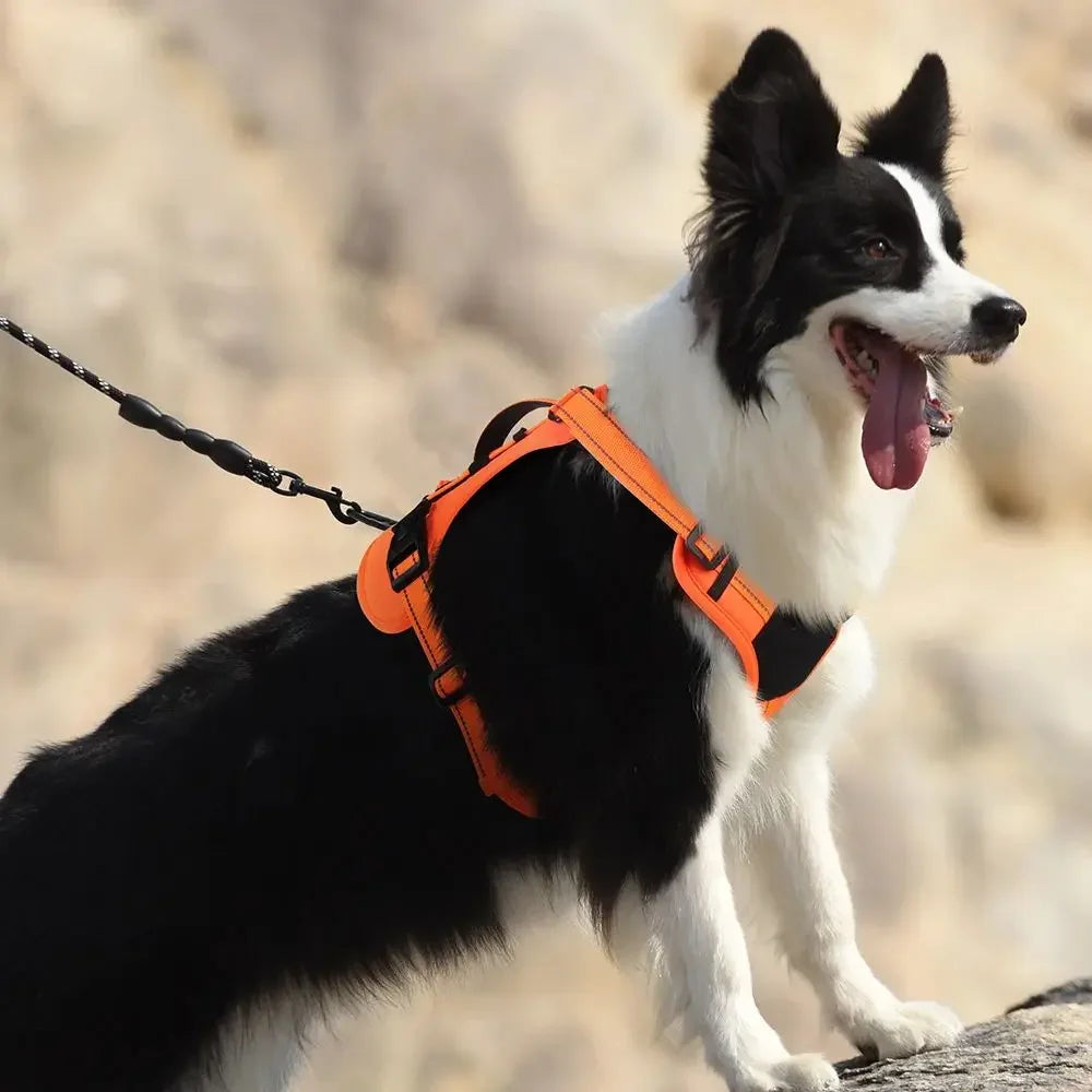 Bracken Fellwalker Harness - Deep Blue Edition