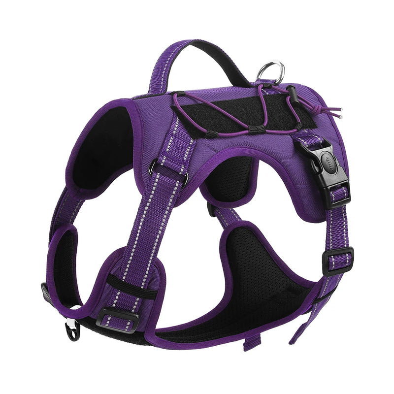 Bracken Fellwalker Harness - Purple Edition